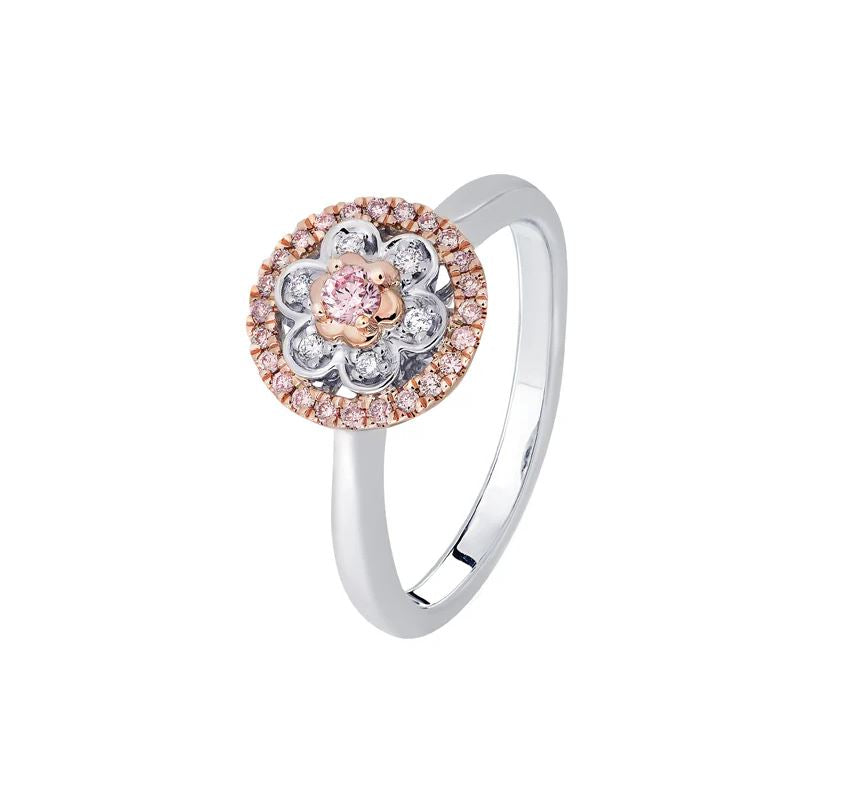 18ct Rose And White Gold Pink KimberleyBlush Diamond Ring