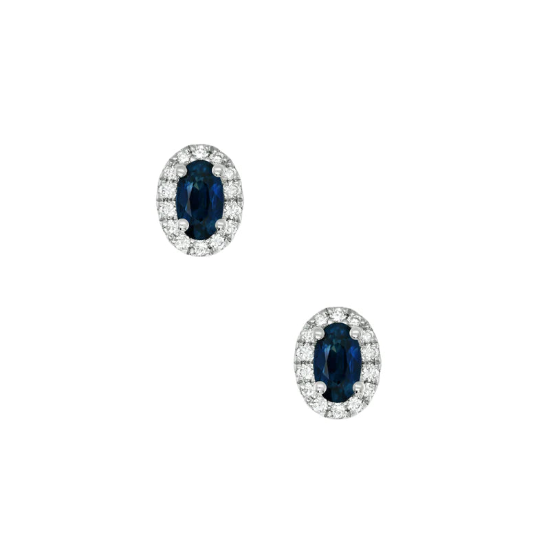 Sapphire Dreams 18ct White Gold Clarissa Stud Earrings