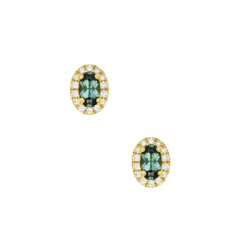 Sapphire Dreams 18ct Yellow Gold Clarissa Stud earrings