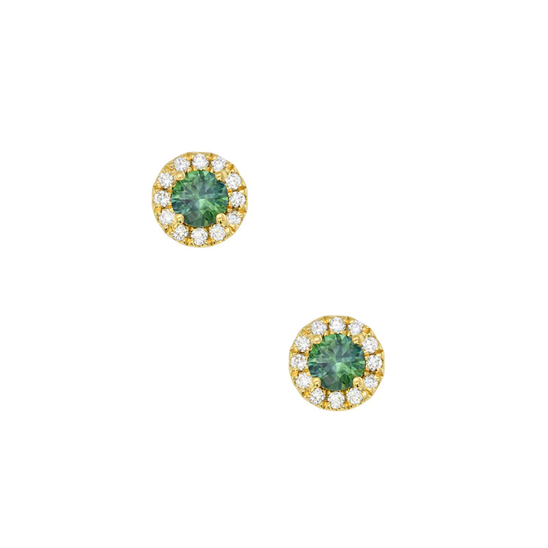 Sapphire Dreams 18ct Yellow Gold Clarissa Stud earrings