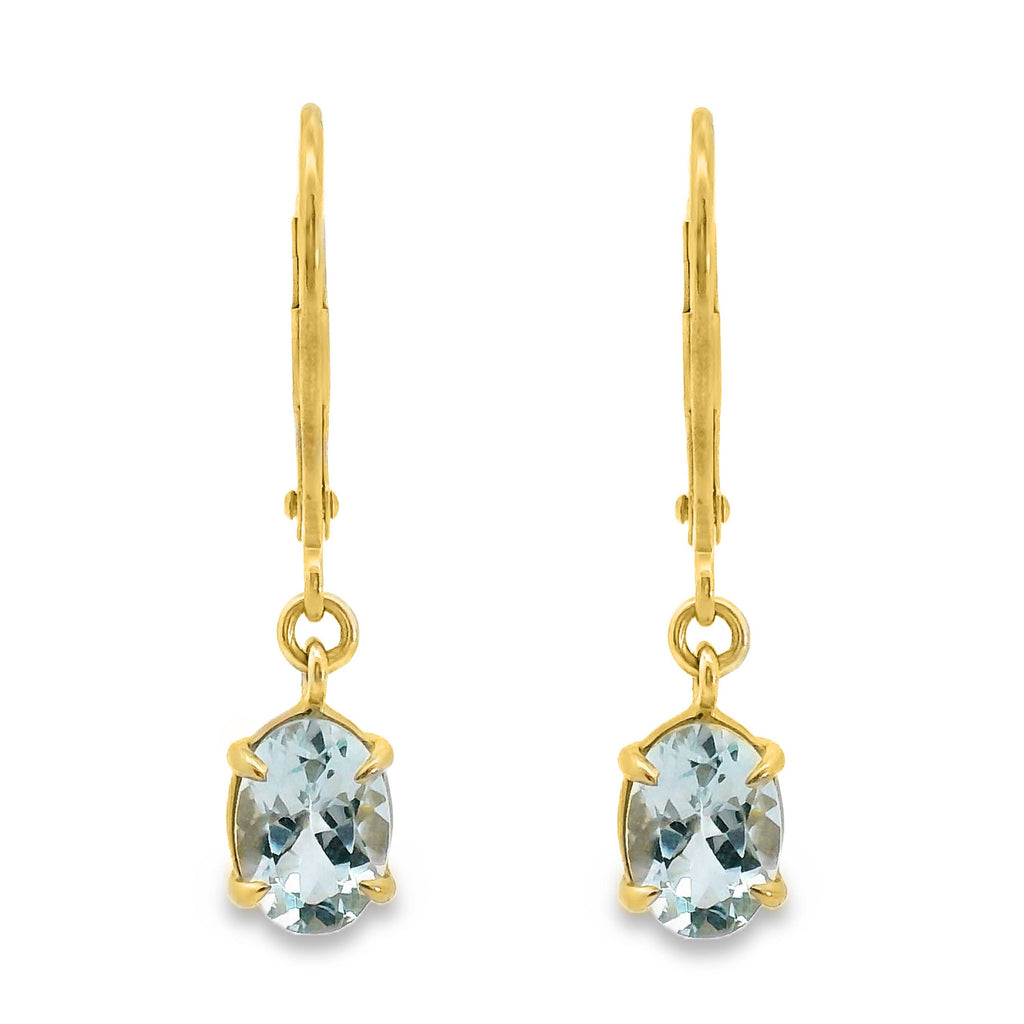 9ct Yellow Gold Aquamarine Continental Hook Earrings