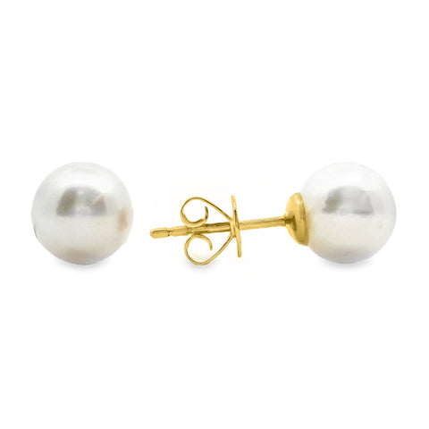 9ct Yellow Gold 8.0mm - 8.5mm White Akoya Pearl Stud Earrings
