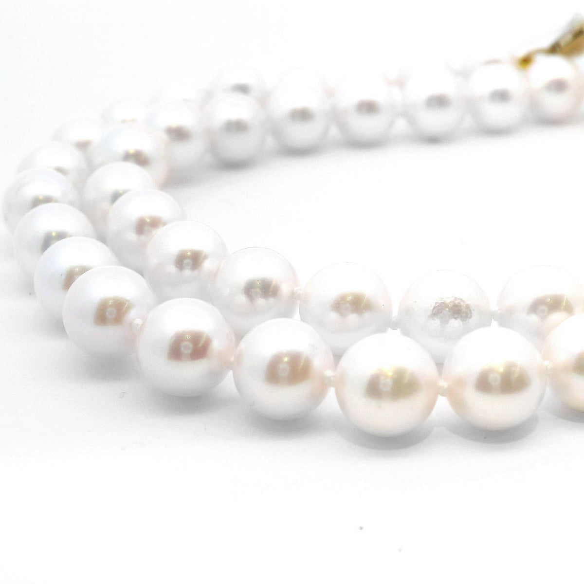 9ct Yellow Gold Akoya Pearl Strand Necklace 7.5 - 8mm