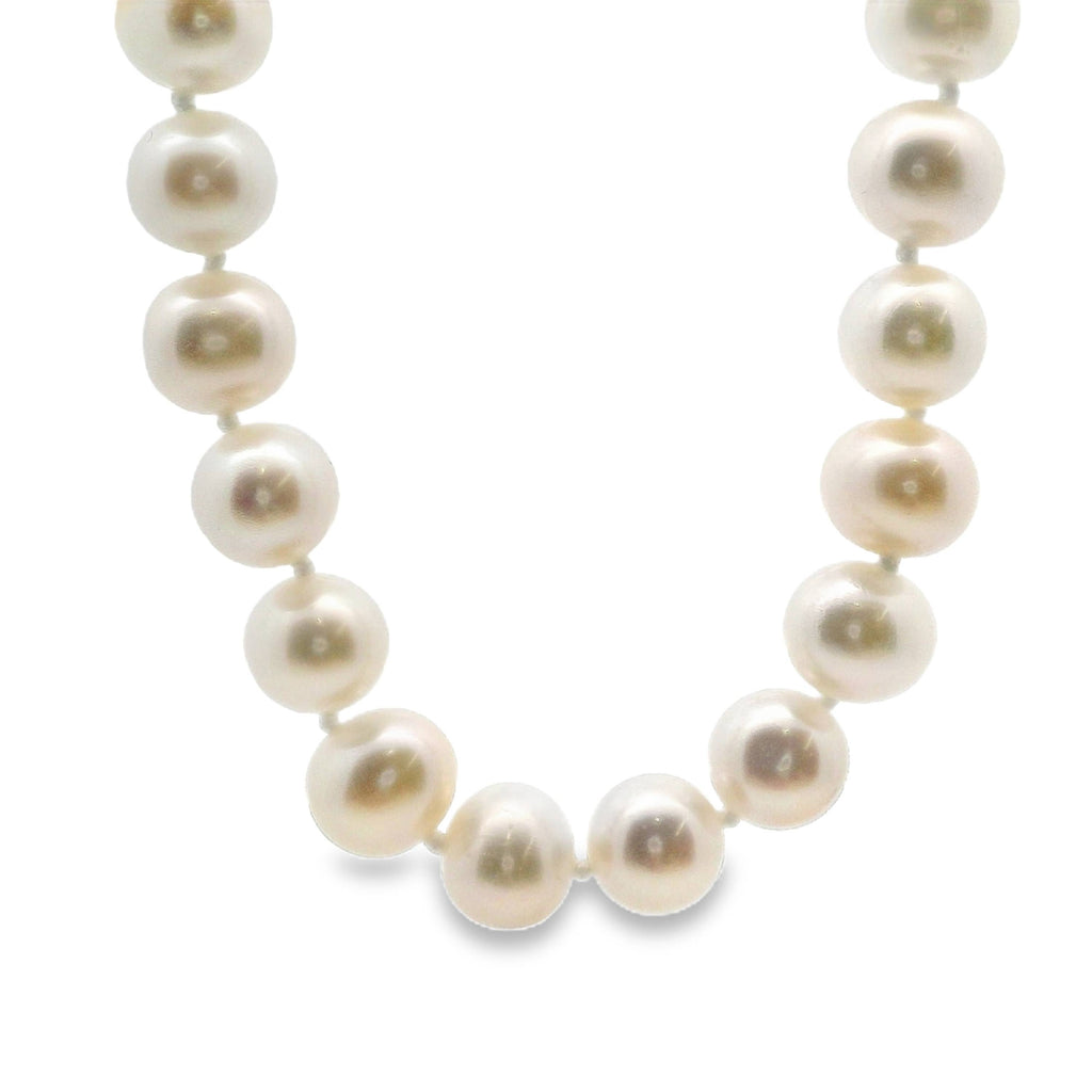 9ct Yellow Gold Freshwater Pearl Necklace 7-7.5mm