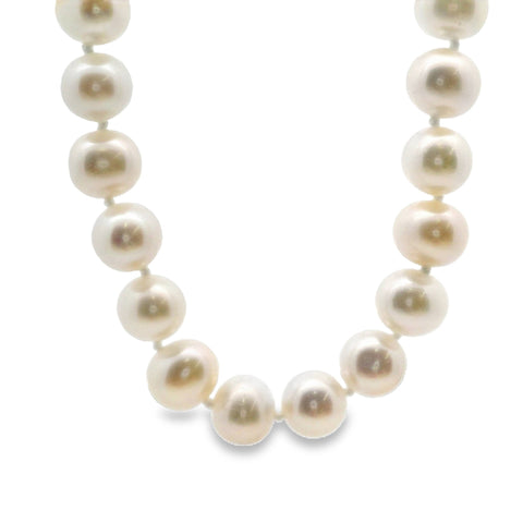 9ct Yellow Gold Freshwater Pearl Necklace 7-7.5mm
