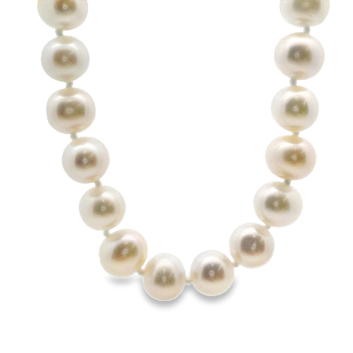 9ct Yellow Gold Freshwater Pearl Necklace 7-7.5mm