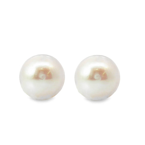 9ct Yellow Gold Freshwater Pearl Stud Earrings 12-13mm