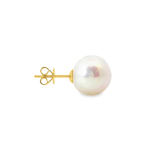 9ct Yellow Gold Freshwater Pearl Stud Earrings 12-13mm