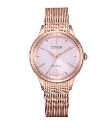 Citizen Ladies Eco-Drive Watch EM0819-80X