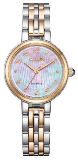 Citizen Ladies Eco-Drive Watch EM0996-84Y