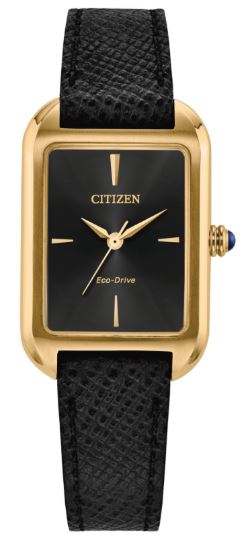 Citizen Eco-Drive Ladies Watch Black EM1192-01E