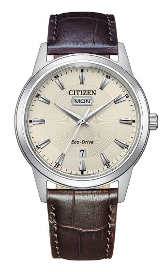 Citizen Eco-Drive Gents Watch AW0100-19A