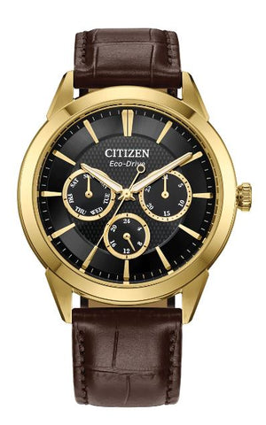 Citizen Mens Eco-Drive Watch BU2112-06E