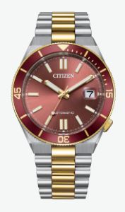 Citizen Tsuyosa Automatic Watch NJ0234-58X