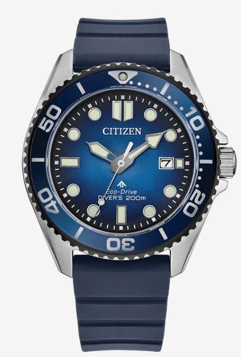 Citizen Promaster Dive Eco-Drive Watch BN0267-04L