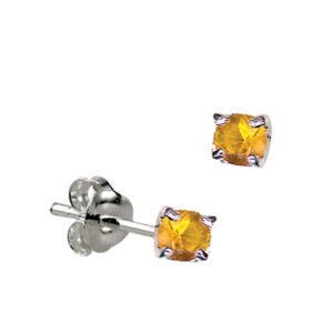 Sterling Silver 4mm CZ November Birthstone Stud Earrings