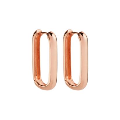 Najo Elemental Hoop Earring Gold Plated