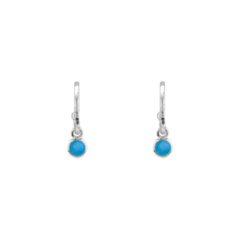 VT BIRTHSTONE 2X10MM HAMMERED HOOP EARRINGS DECEMBER