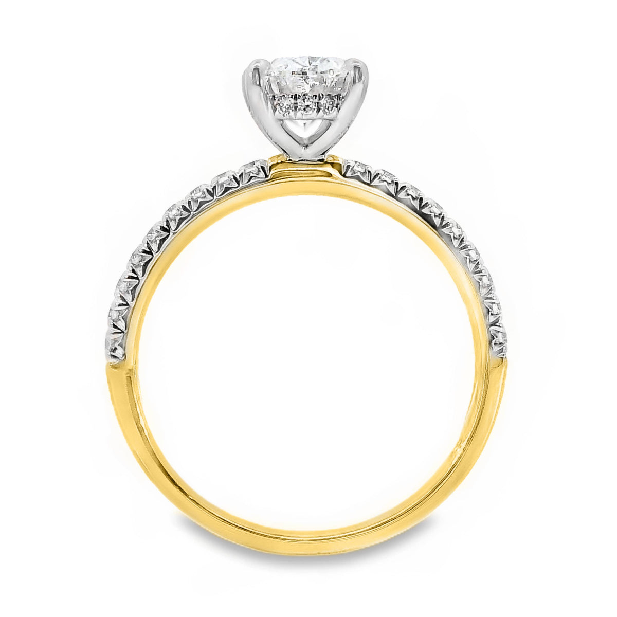 Maisie Lab Grown Diamond Hidden Halo Oval Cut Engagement Ring