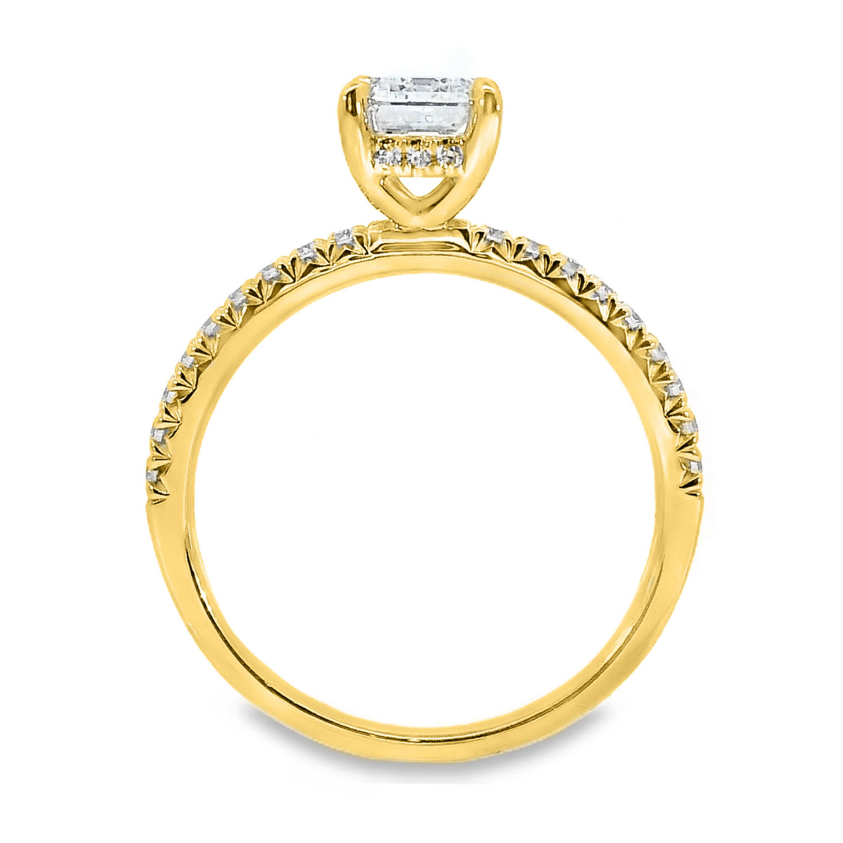 Hazel Diamond Hidden Halo Emerald Cut Engagement Ring