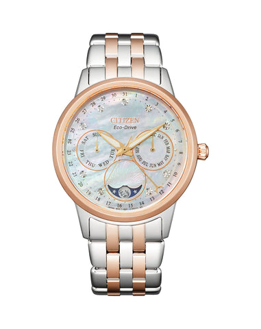 Citizen Eco-Drive Ladies Watch FD0006-56D