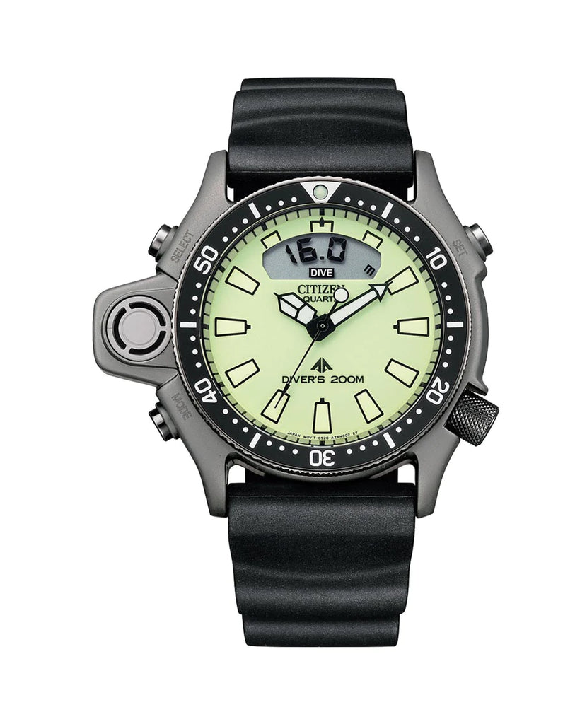 Citizen Promaster Gents Watch JP2007-17W
