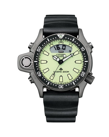 Citizen Promaster Gents Watch JP2007-17W